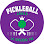 Pickleball Jávea